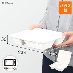 パックスタイル 弁当容器 ABランチ240-210-4