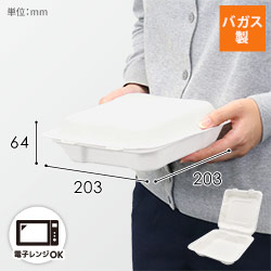 パックスタイル 弁当容器 新ABランチ200-200