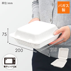 パックスタイル 弁当容器 新ABランチ200-220