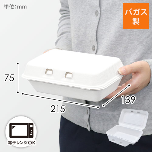 パックスタイル 弁当容器 新ABランチ220-140