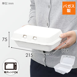 パックスタイル 弁当容器 新ABランチ220-140