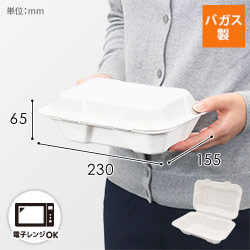 パックスタイル 弁当容器 新ABランチ220-150