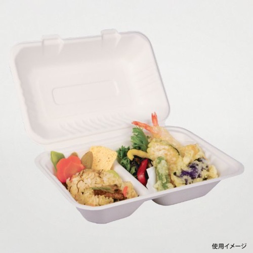 パックスタイル 弁当容器 新ABランチ240-150-2