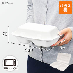 パックスタイル 弁当容器 新ABランチ240-150-2