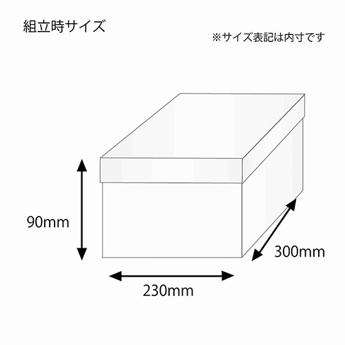 バラエティBOX（230×300×高90mm）