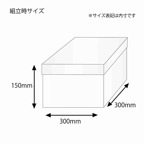 バラエティBOX（300×300×高150mm）