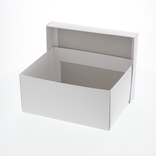 エスプリBOX B-1（200×260×高120mm）