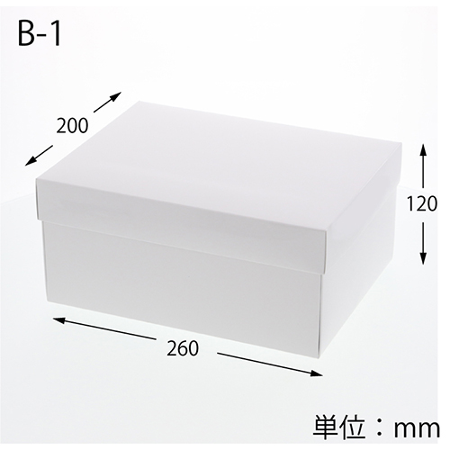 エスプリBOX B-1（200×260×高120mm）