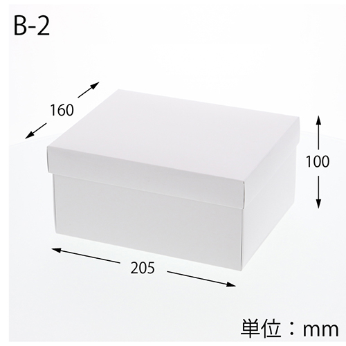 エスプリBOX B-2（160×205×高100mm）