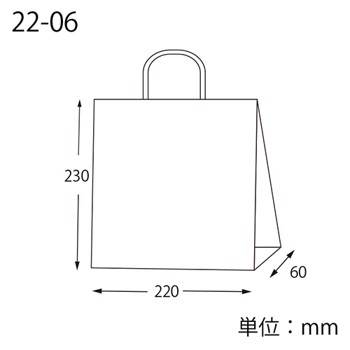 スムースバッグ 22-06 白無地