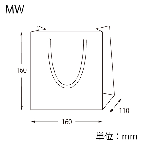 カラーハンドルバッグ MW ブラック