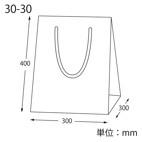 フルールバッグ 30-30 未晒無地 1外袋10枚入