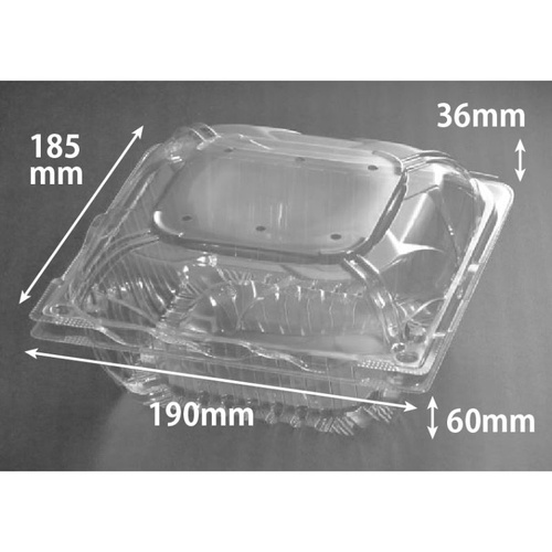 リスパック フルーツ容器 バイオ とれたて 19-19(89)