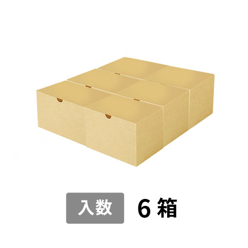 【宅配100サイズ】小箱ぴったり梱包用ダンボール箱［SBOX-05・6箱］（370×350×130mm）5mm A/F 白C5×C5