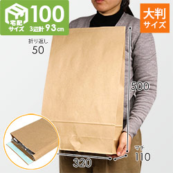宅配袋 L（茶・ テープ付き） | 梱包材 通販No.1【ダンボールワン】