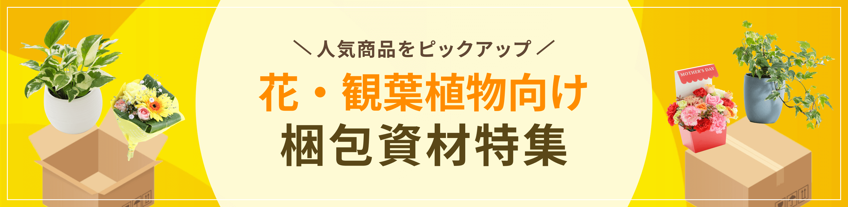 人気商品をピックアップ。花・観葉植物向け梱包資材特集