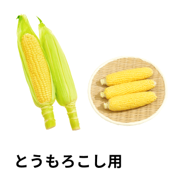 とうもろこし用