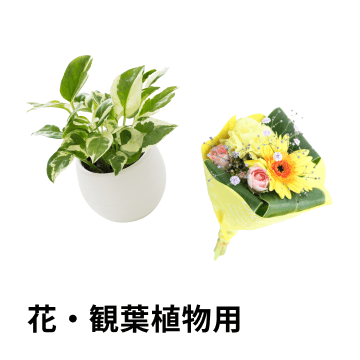 花・観葉植物用